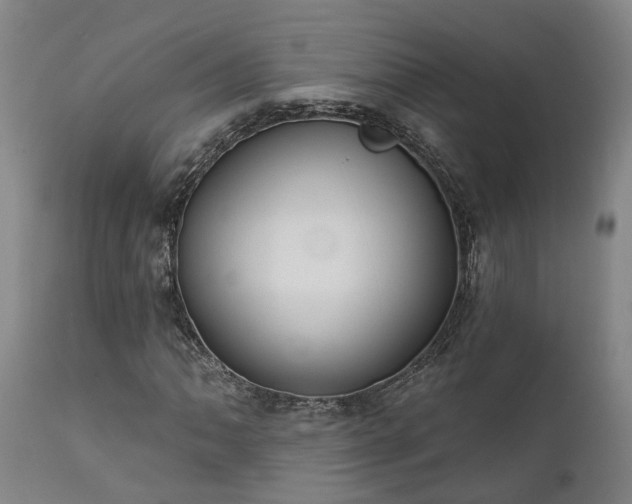 X0000111461062200907201108