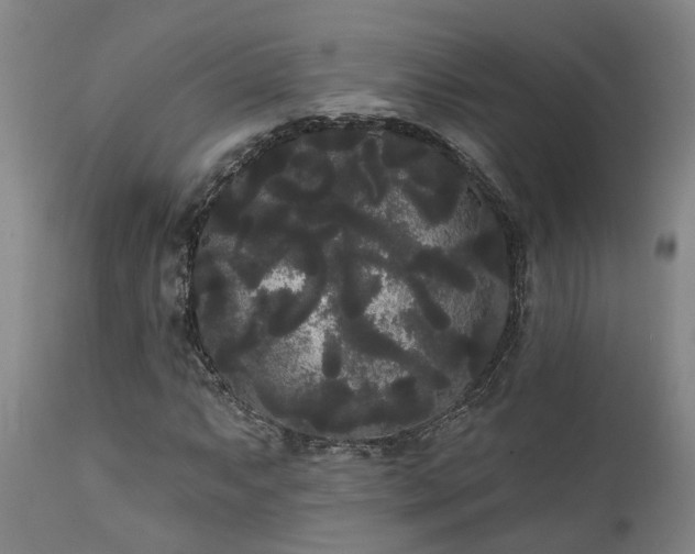 X0000111461063200907201108