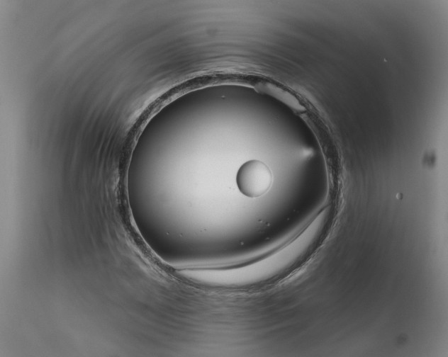 X0000111461065200907201108