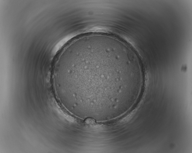 X0000111461066200907201108