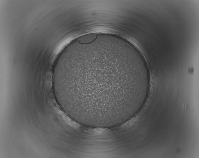 X0000111461067200907201108