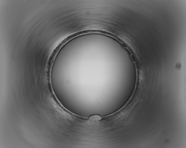 X0000111461068200907201108