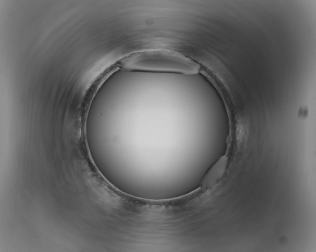 X0000111461069200907201108