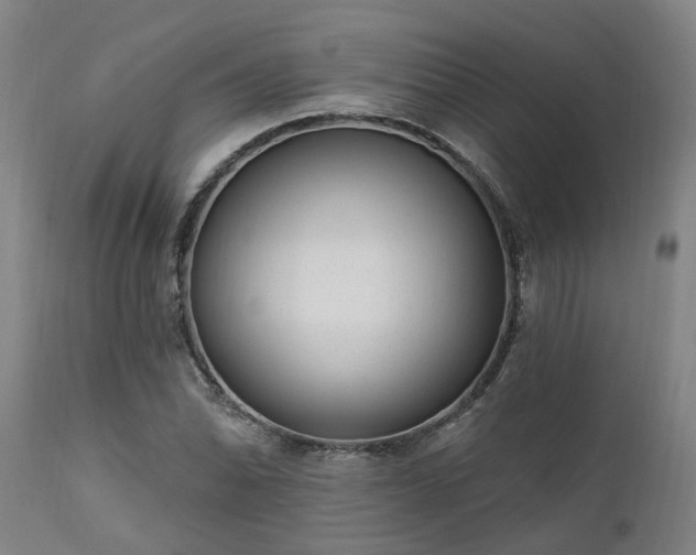 X0000111461070200907201108