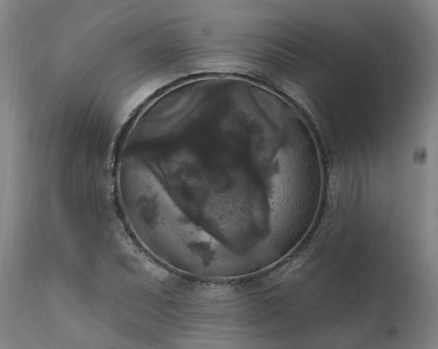 X0000111461071200907201108