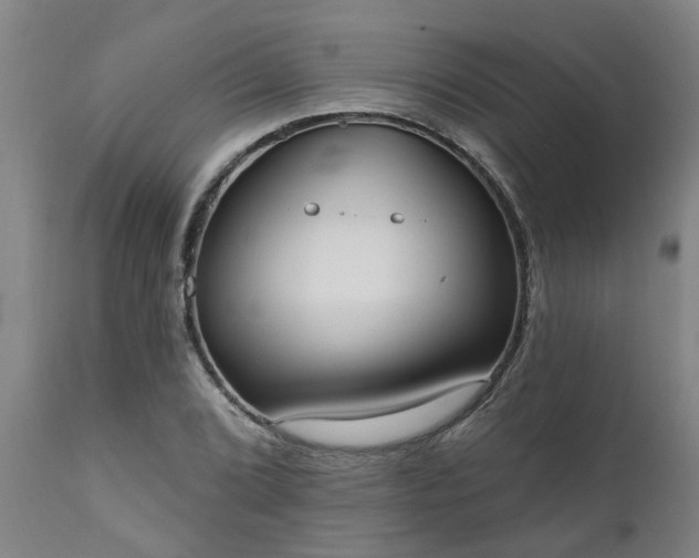 X0000111461072200907201108