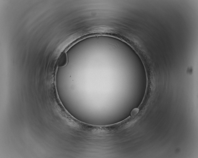 X0000111461073200907201108