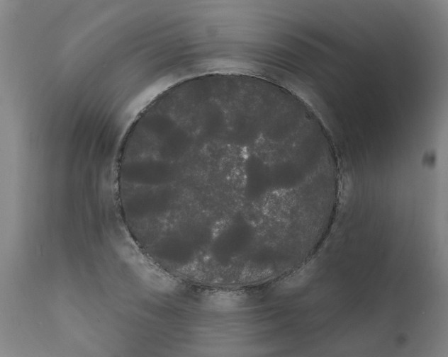 X0000111461074200907201108