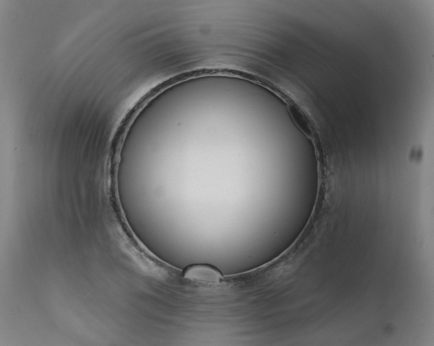 X0000111461076200907201108