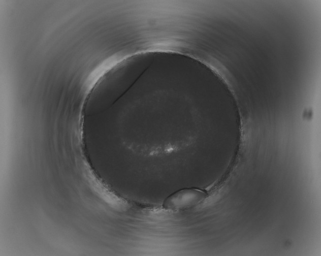 X0000111461077200907201108