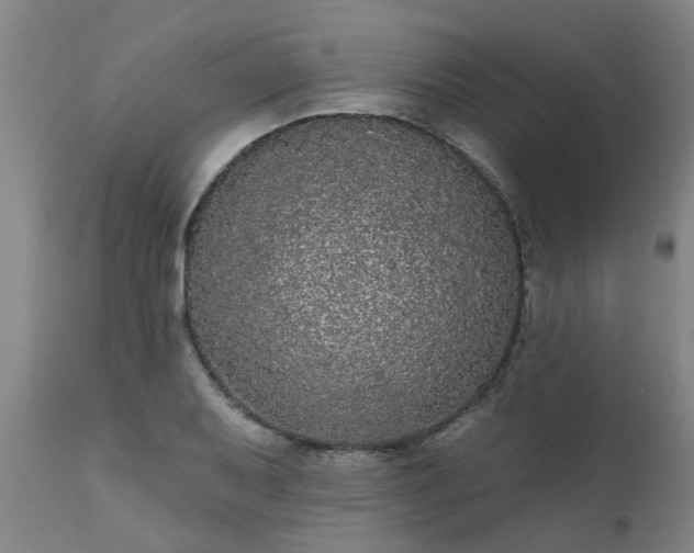 X0000111461079200907201108