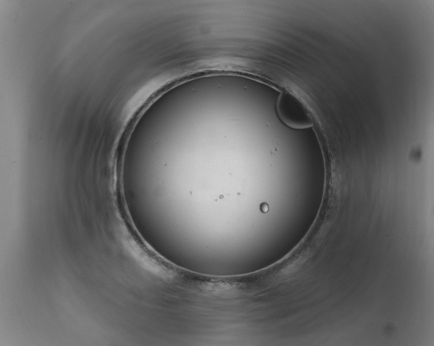 X0000111461082200907201108