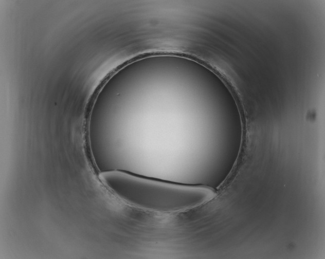 X0000111461085200907201108