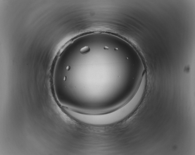 X0000111461086200907201108