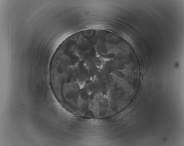 X0000111461087200907201108