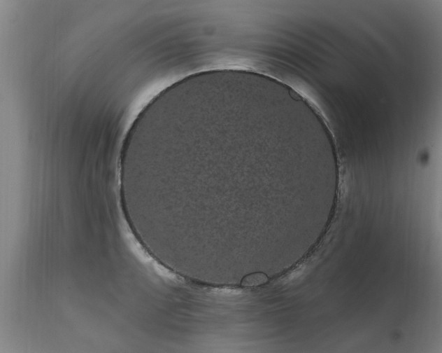 X0000111461088200907201108