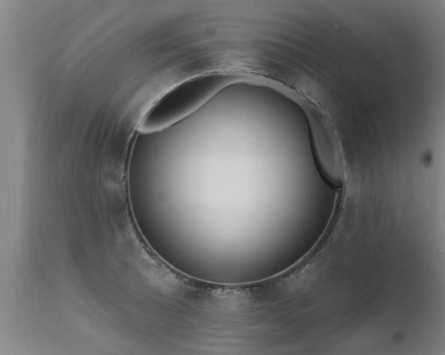 X0000111461089200907201108