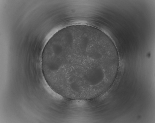 X0000111461090200907201108