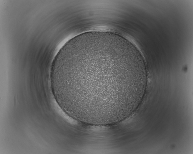 X0000111461091200907201108