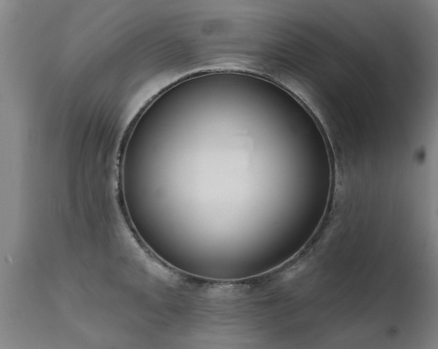 X0000111461093200907201108