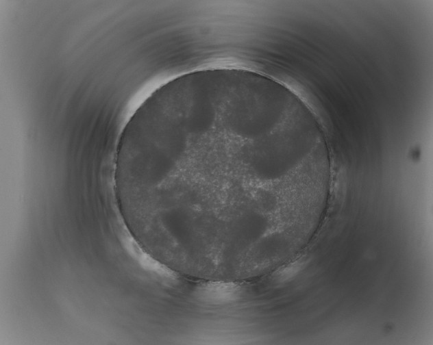 X0000111461094200907201108