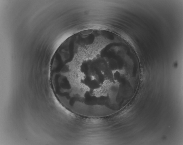 X0000111461095200907201108