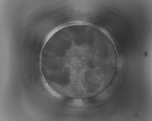 X0000111461098200907201107