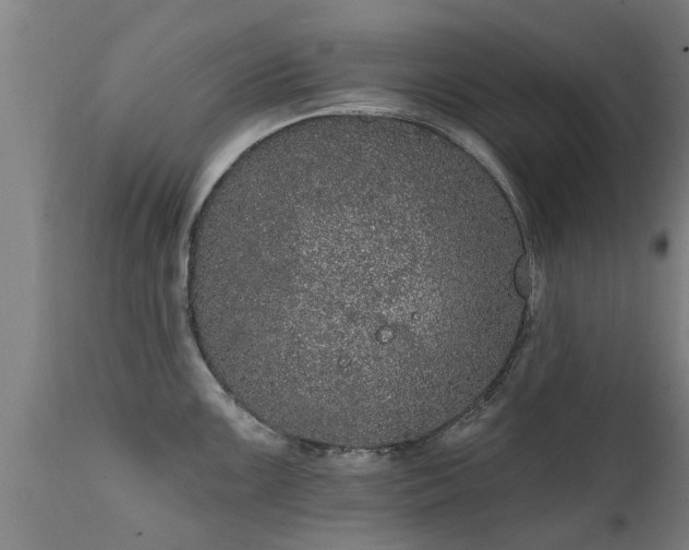 X0000111461099200907201107