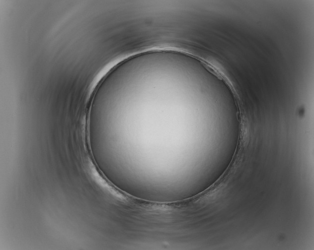 X0000111461100200907201107