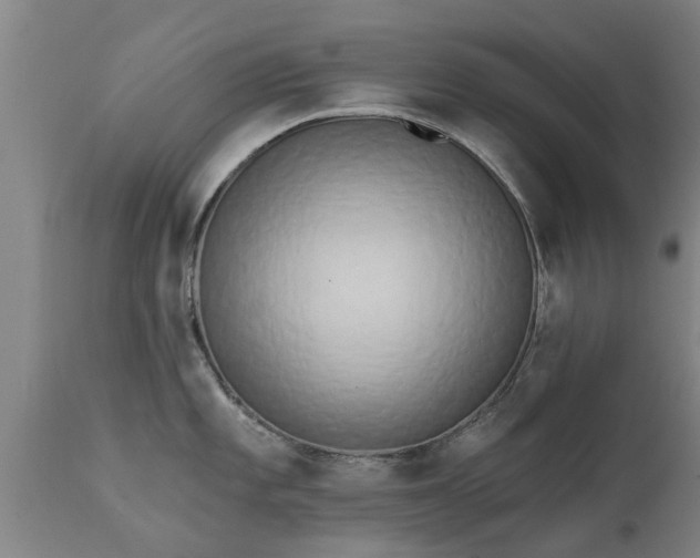 X0000111461101200907201107