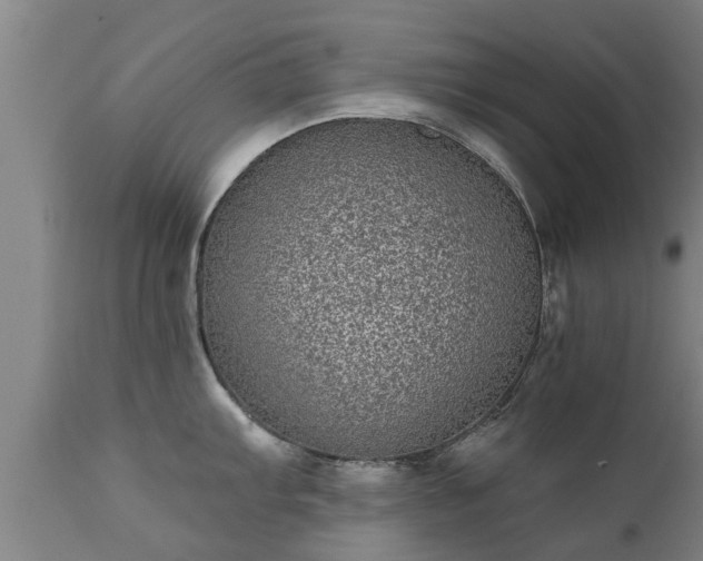 X0000111461103200907201107