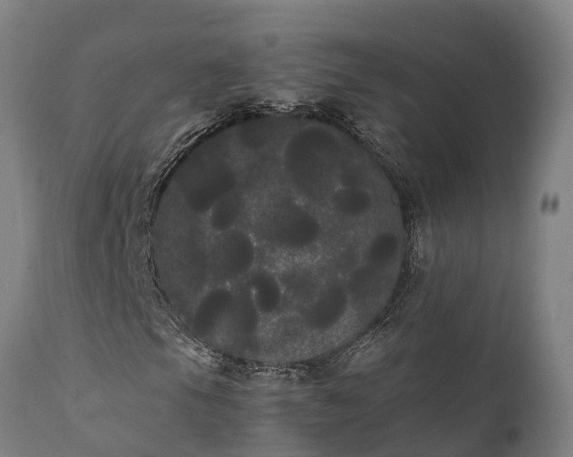 X0000111461105200907201107