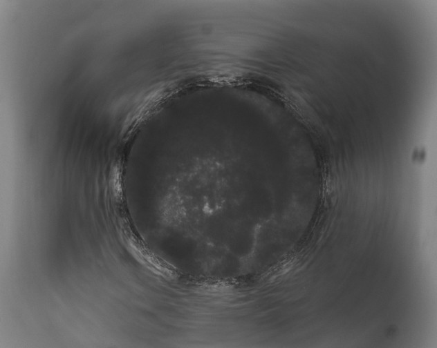 X0000111461106200907201107