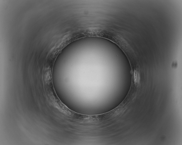 X0000111461107200907201107