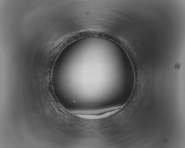 X0000111461110200907201107