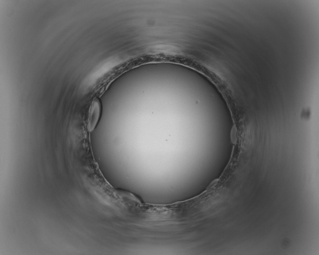 X0000111461112200907201107