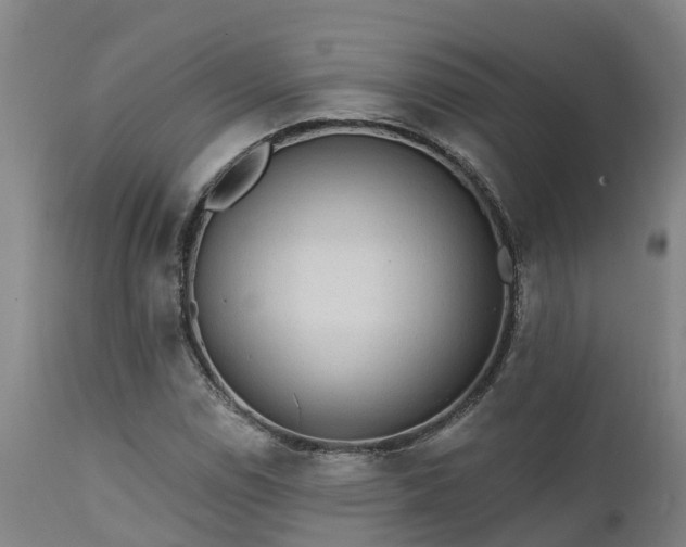 X0000111461114200907201107