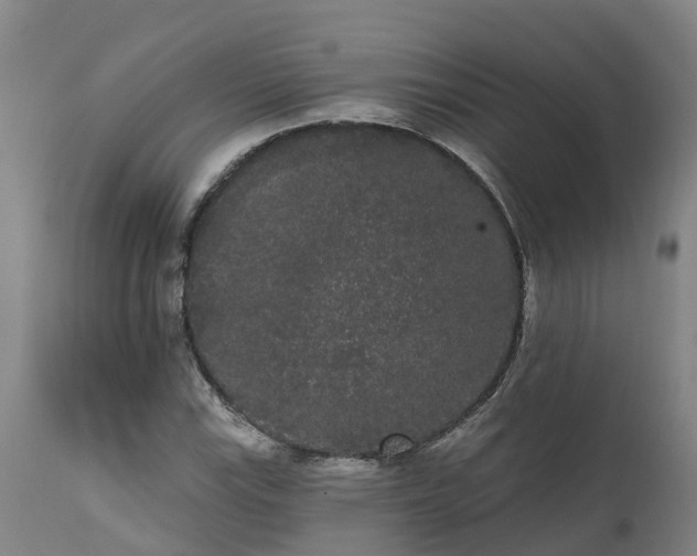 X0000111461115200907201107