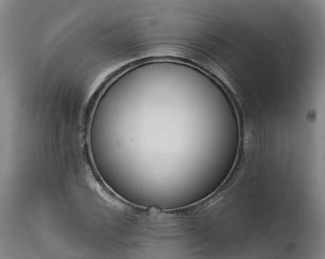 X0000111461116200907201107