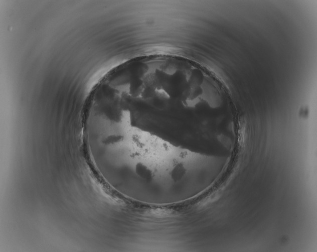 X0000111461117200907201107