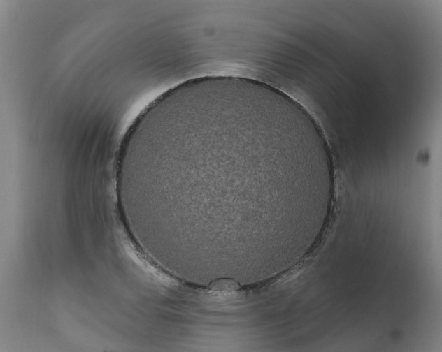 X0000111461120200907201107