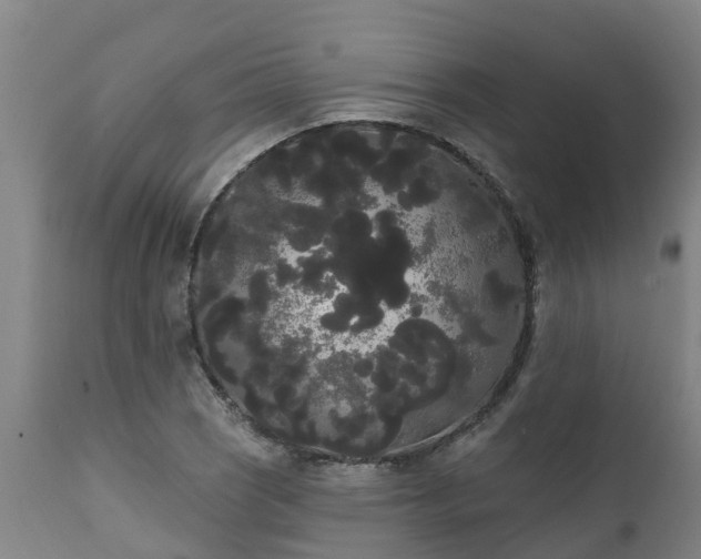 X0000111461121200907201107