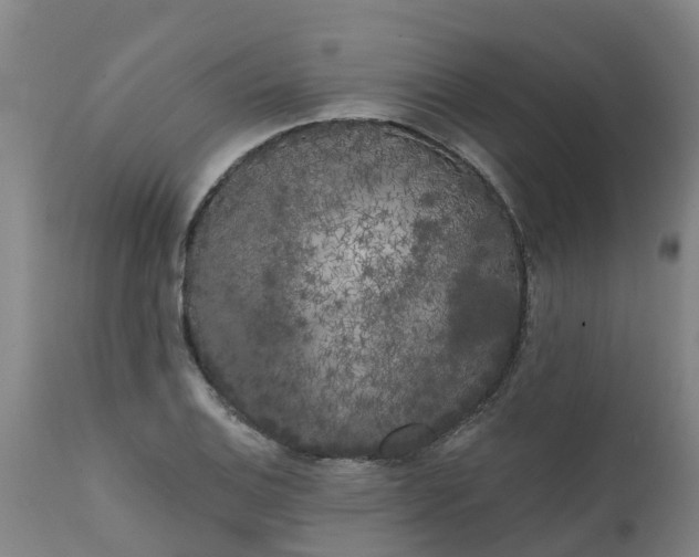 X0000111461124200907201107