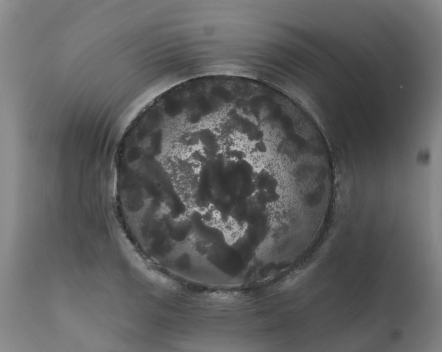 X0000111461125200907201107