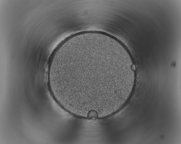 X0000111461126200907201107