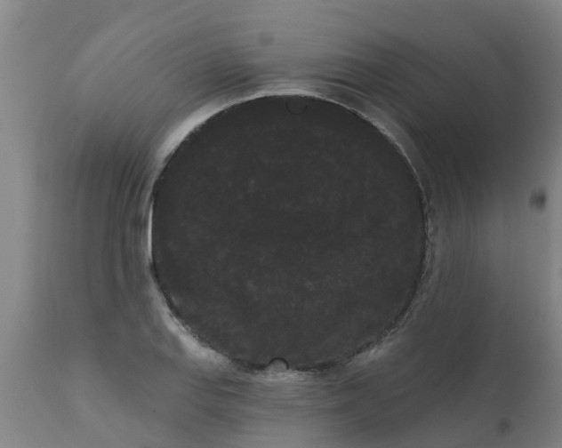 X0000111461127200907201107