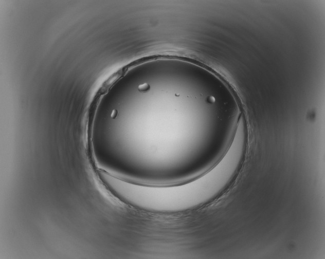 X0000111461128200907201107