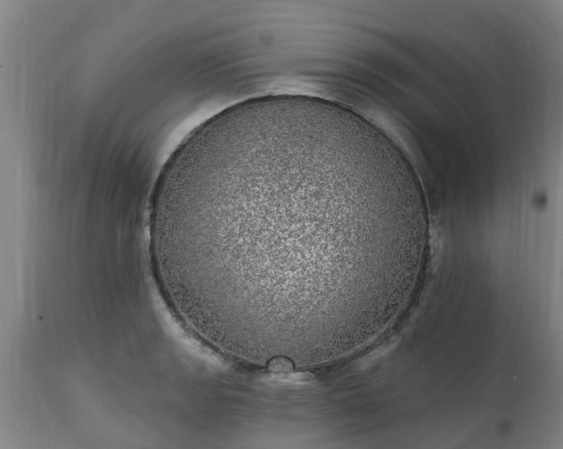 X0000111461133200907201107