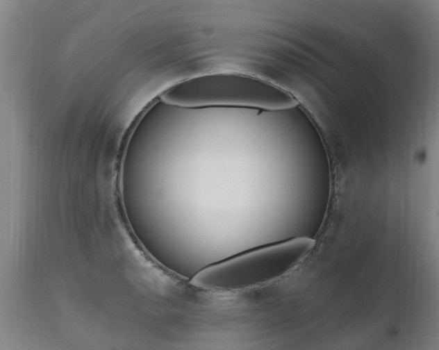 X0000111461134200907201107