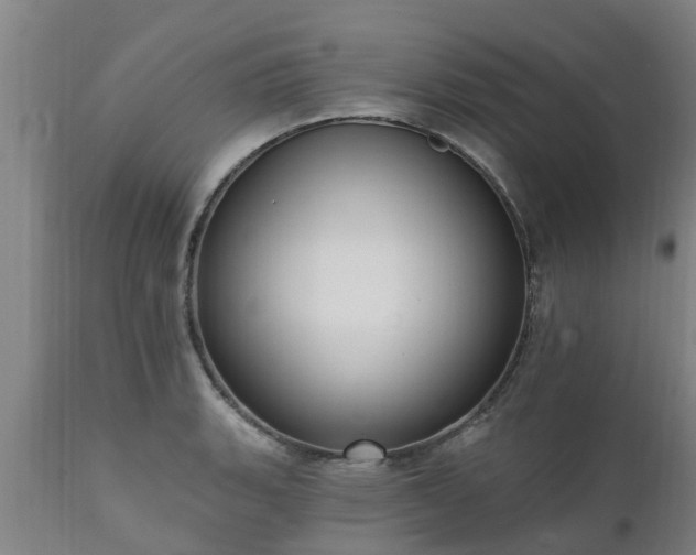 X0000111461135200907201107